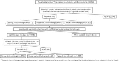 A Prescribing Cascade of Proton Pump Inhibitors Following Anticholinergic Medications in Older Adults With Dementia